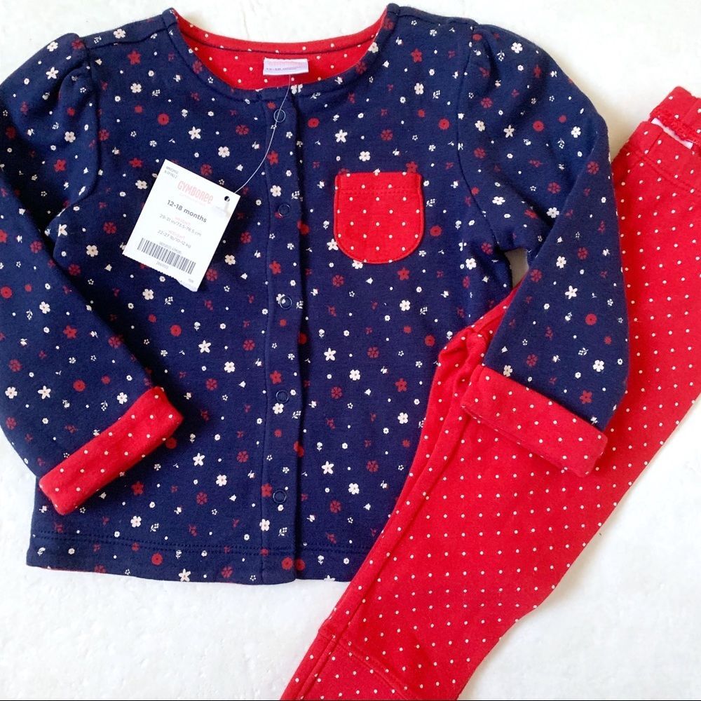 Gymboree Floral Shirt and Pants Matching Set Red Blue 12-18 months NEW